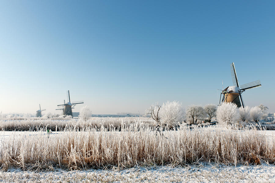 Windmills At Kinderdijk In Wintry Photograph by Pidjoe