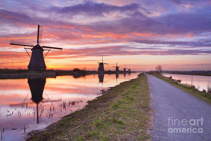 Nature Photograph - Windmills at sunrise by Sara Winter