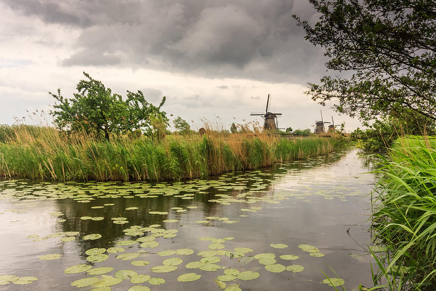 Nature Photograph - Windmills by the canal by Sue Leonard