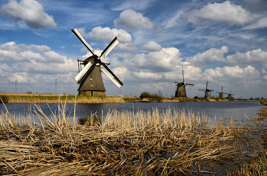 Windmills Photograph - Windmills in Kinderdijk by Oleksandr Maistrenko