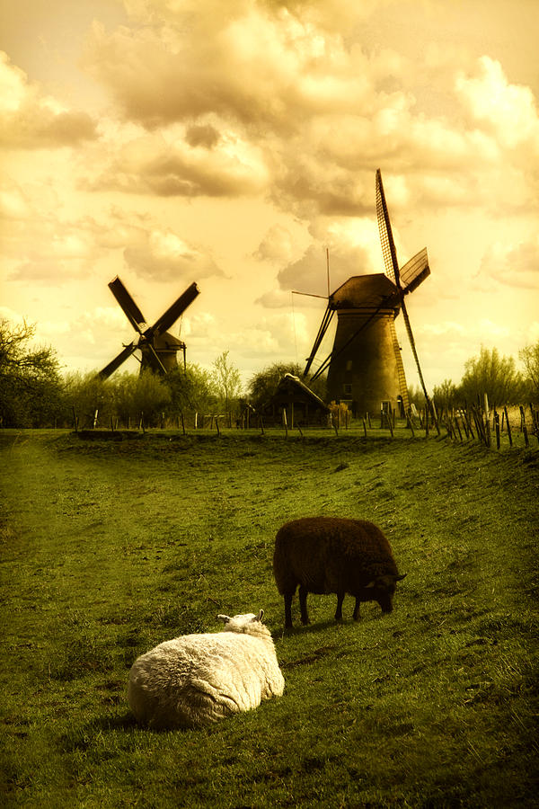 Windmills of Holland Photograph by James Bethanis