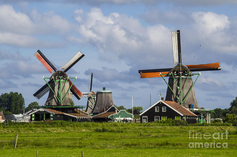 Windmills of Zaanse Schans Photograph by Pravine Chester