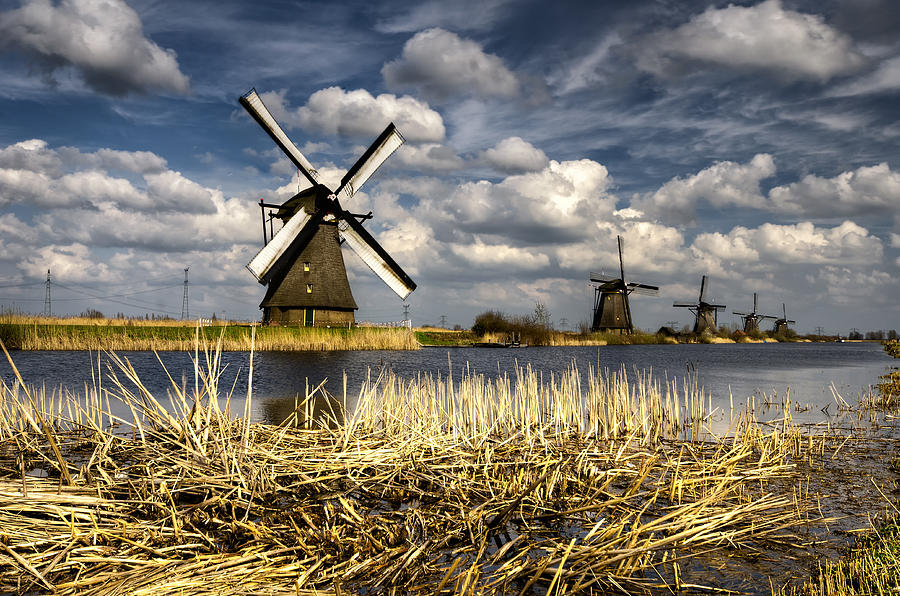 Windmills Photograph - Windmills by Oleksandr Maistrenko