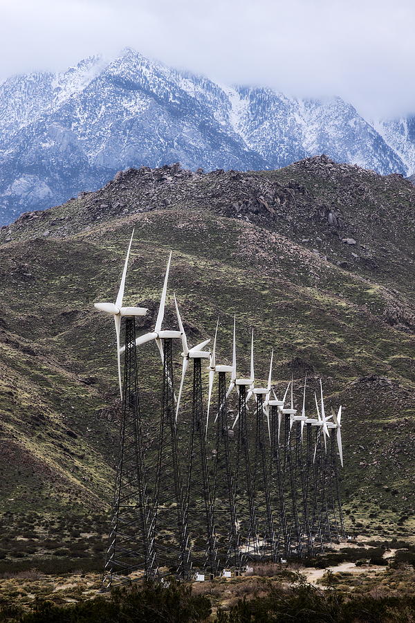 Mountain Photograph - Windmills. Palm Springs by Viktor Savchenko