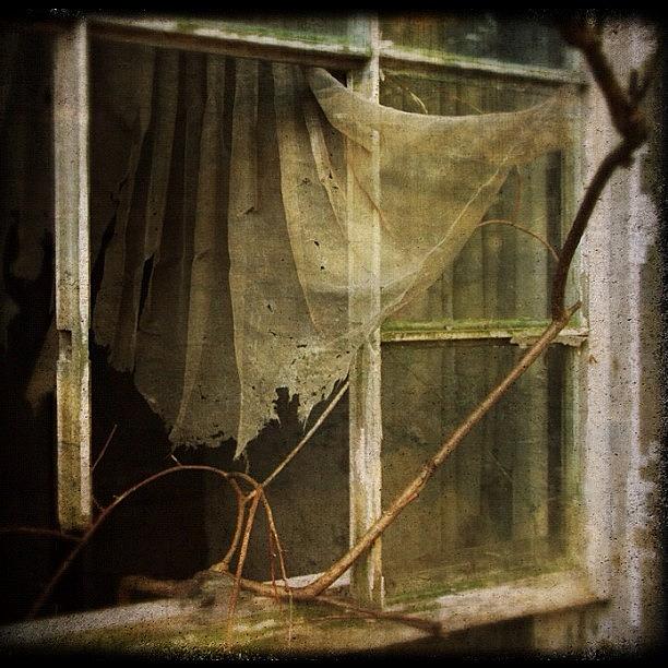 Ragged Photograph - #window #abandoned #filthyfeeds by Jan Pan