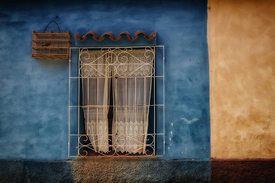 Window and the birdcage Photograph by Marzena Grabczynska Lorenc