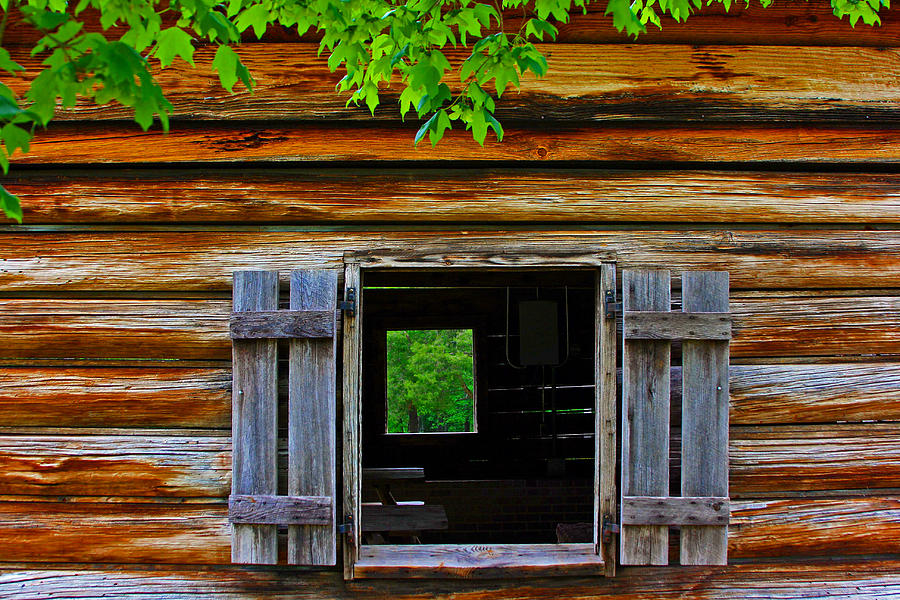 Window Andrew Jackson State Park Photograph by Andy Lawless