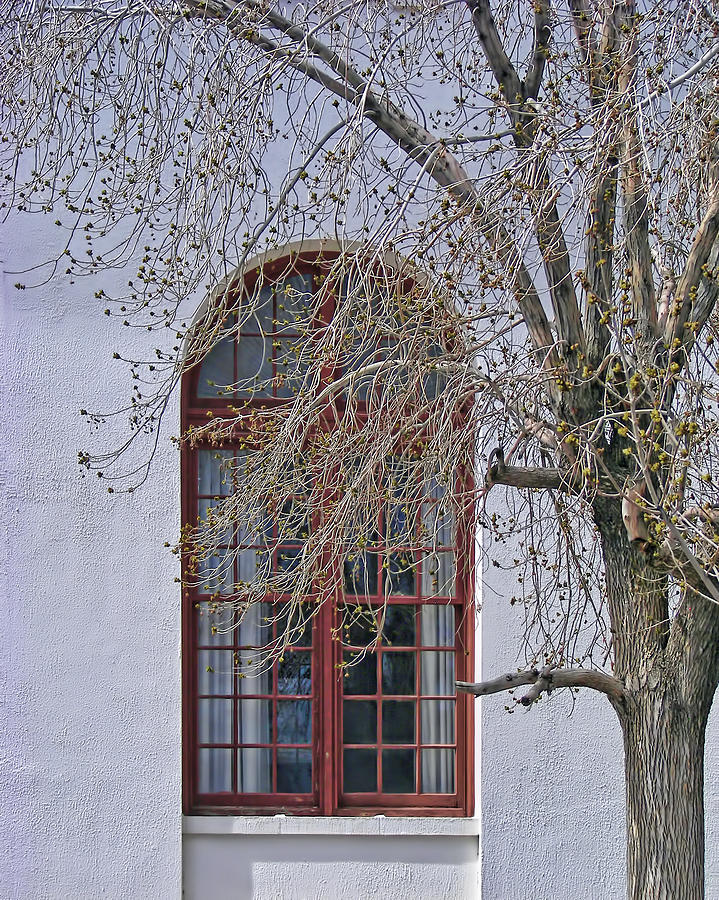 Architecture Photograph - Window at Amy Biehl High School by Nikolyn McDonald