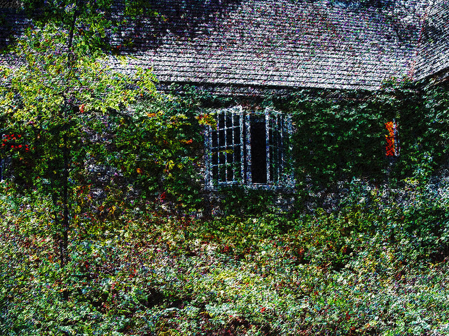 Window at The Clearing 3 Digital Art by David Blank