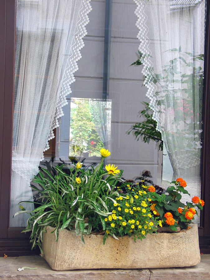 Window box Photograph by Gerry Bates