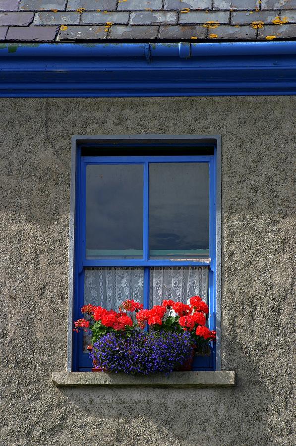 Window Box  Photograph by Henry Kowalski