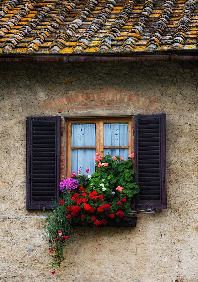Window Box Italy Photograph by Bob Coates