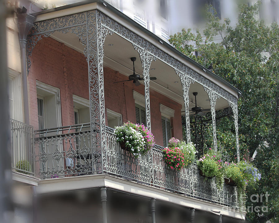 Flower Photograph - window boxes New Orleans by TN Fairey
