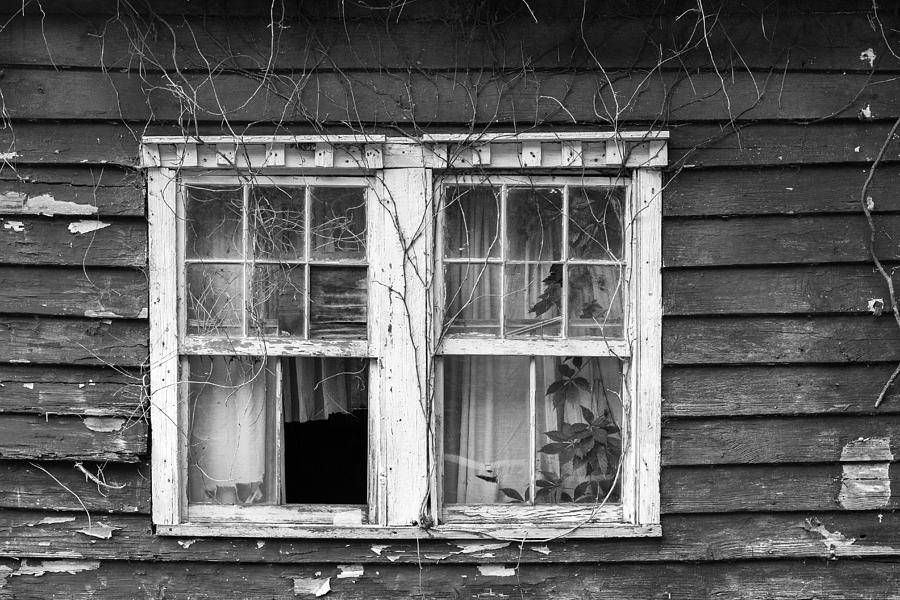 Window Dressing Photograph by Patricia Schaefer