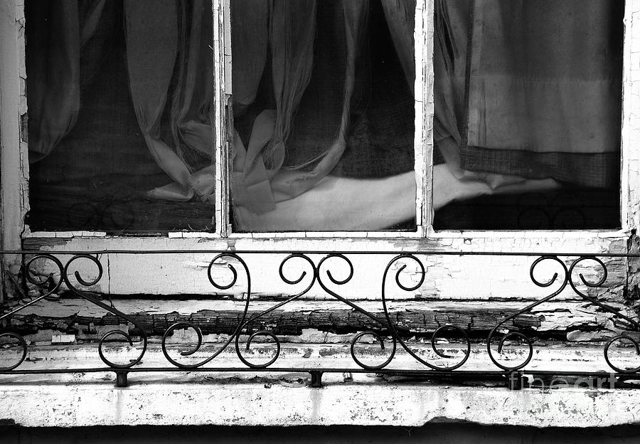 Window Dressing Photograph by Wendy Wilton