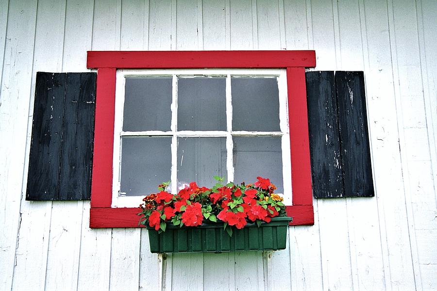 Window Flower Box 1 Photograph by Allen Beatty