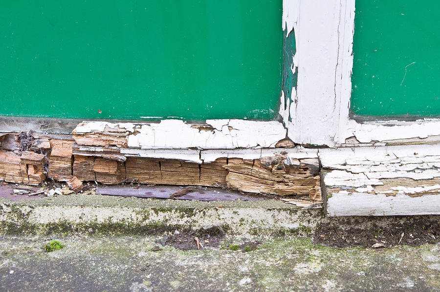 Window frame rot Photograph by Tom Gowanlock | Fine Art America