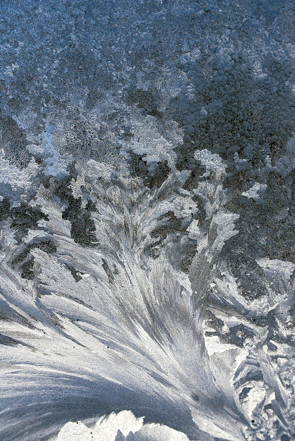 Window Frost Art #1 Photograph by Rick Shea
