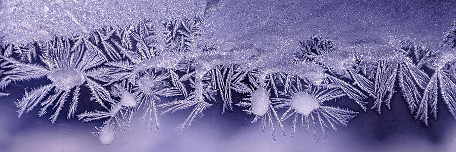 Window Frost Art #11 Photograph by Rick Shea