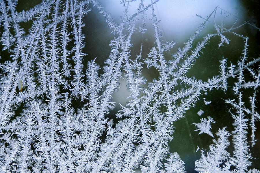Window Frost Art #13 Photograph by Rick Shea