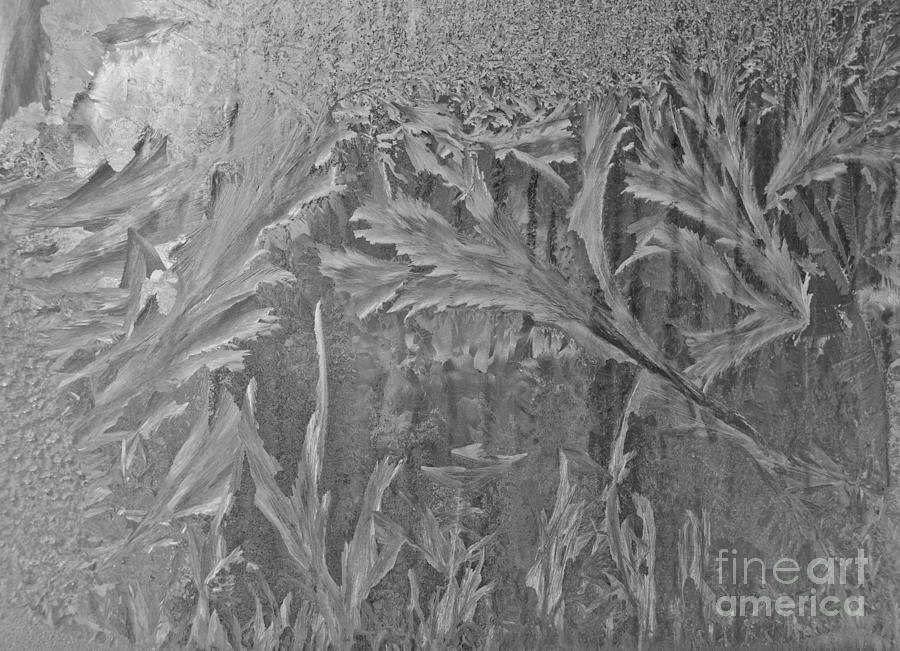 Window Frost in Black and White Photograph by Cheryl Baxter