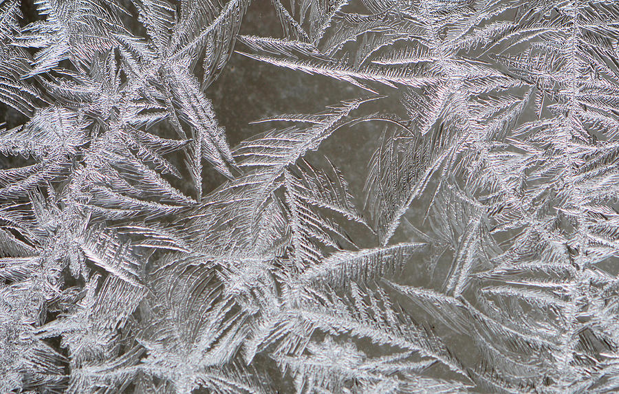 Window Frost Photograph by Jenny Forker