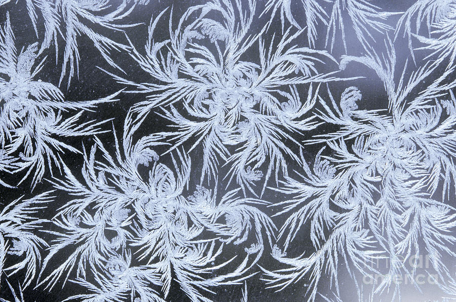 Winter Photograph - Window Frost by Michael Giannechini