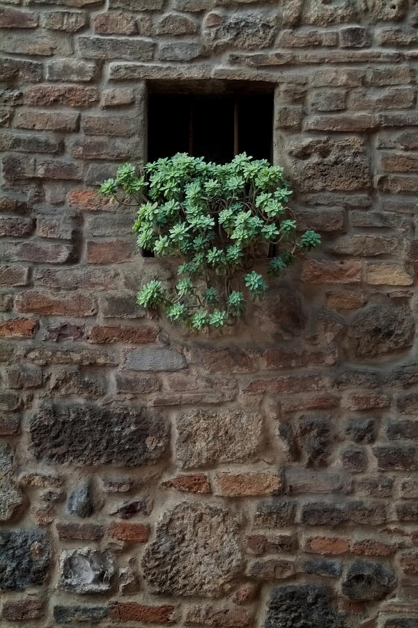 stone flood wall