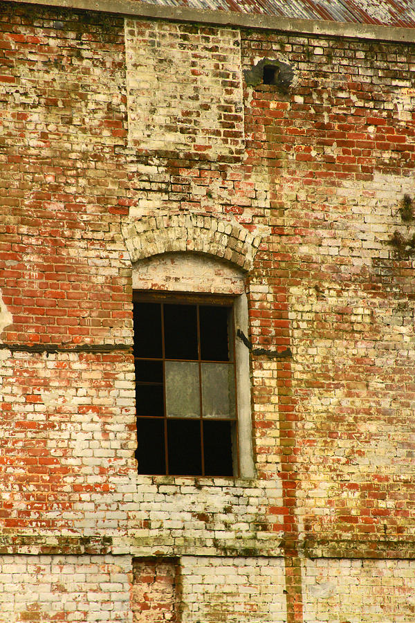 Window in brick wall Photograph by Ronald Olivier - Fine Art America