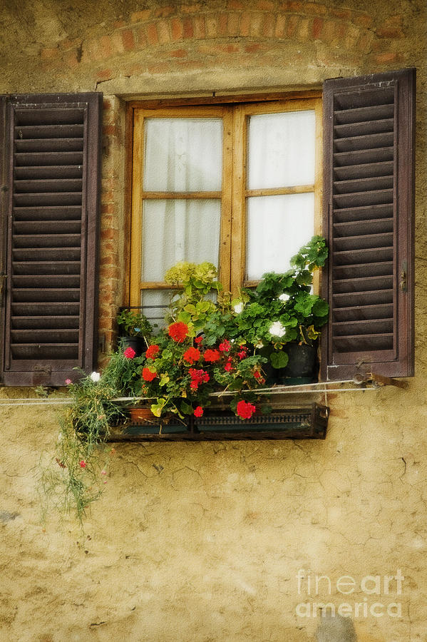 Flower Photograph - Window in Florence by Jim  Calarese