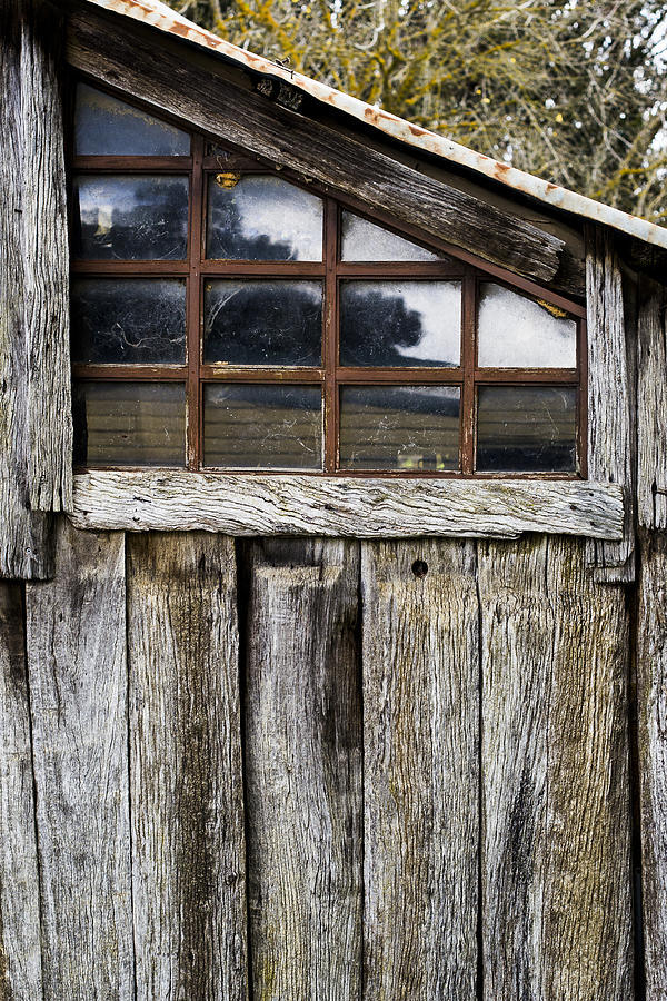 Window in old shed Photograph by Steven Ralser