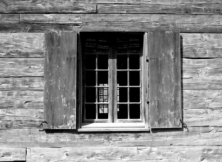 portrait black and white window