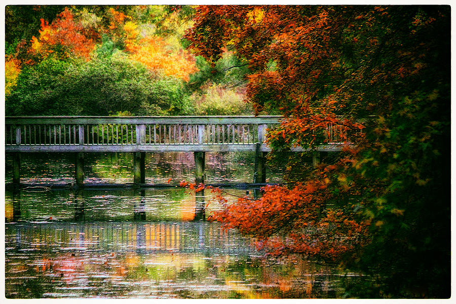 Newport News Photograph - Window into Autumn by Ola Allen