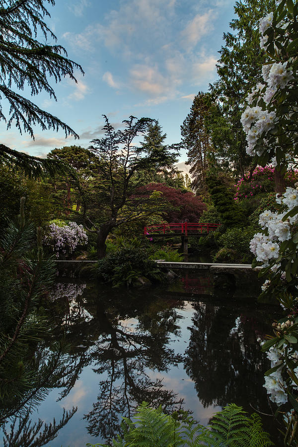 Japanese Garden Photograph - Window into the Northwest Kubota Garden by Mike Reid
