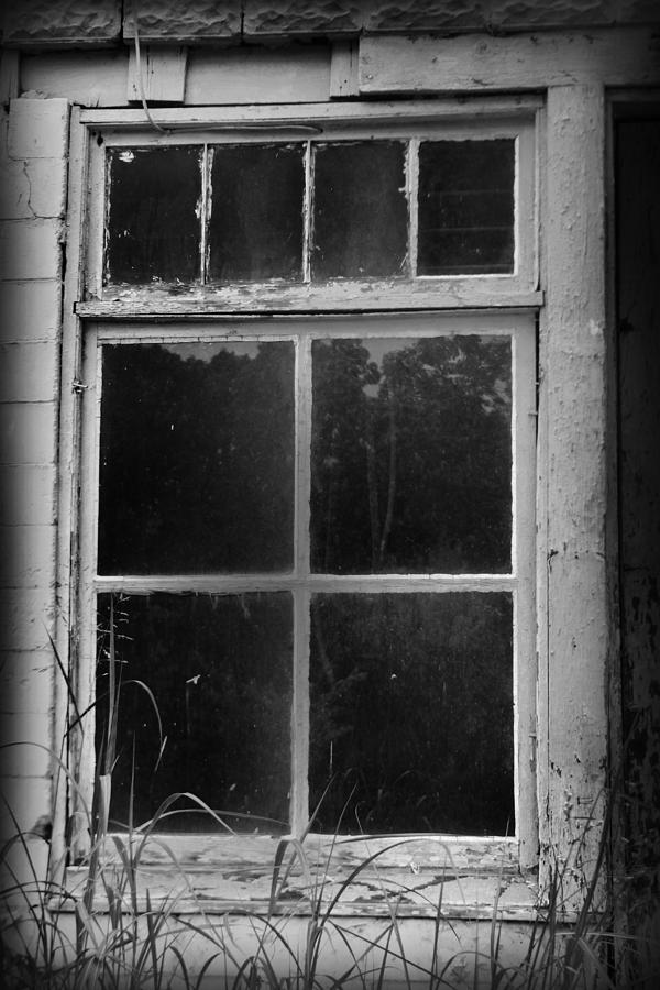 Window Photograph by Kelly Hazel
