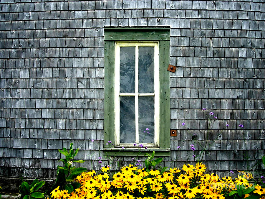 Window looking at me Photograph by Elaine Berger