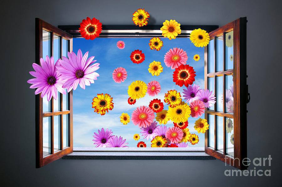 Abstract Photograph - Window of Flowers by Carlos Caetano