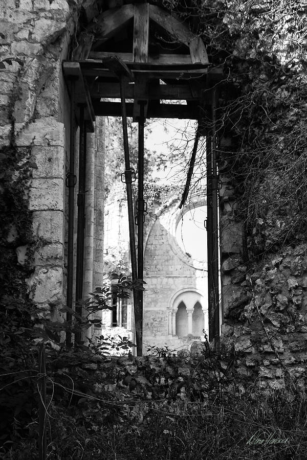 Window of Haunted Abbey Photograph by Diana Haronis