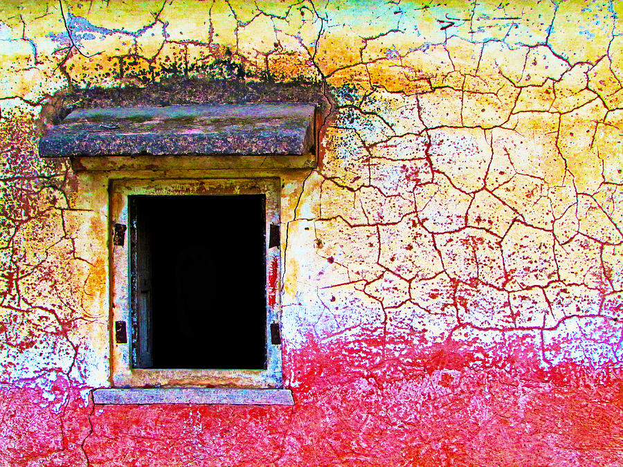 Window of Opportunity Photograph by Prakash Ghai