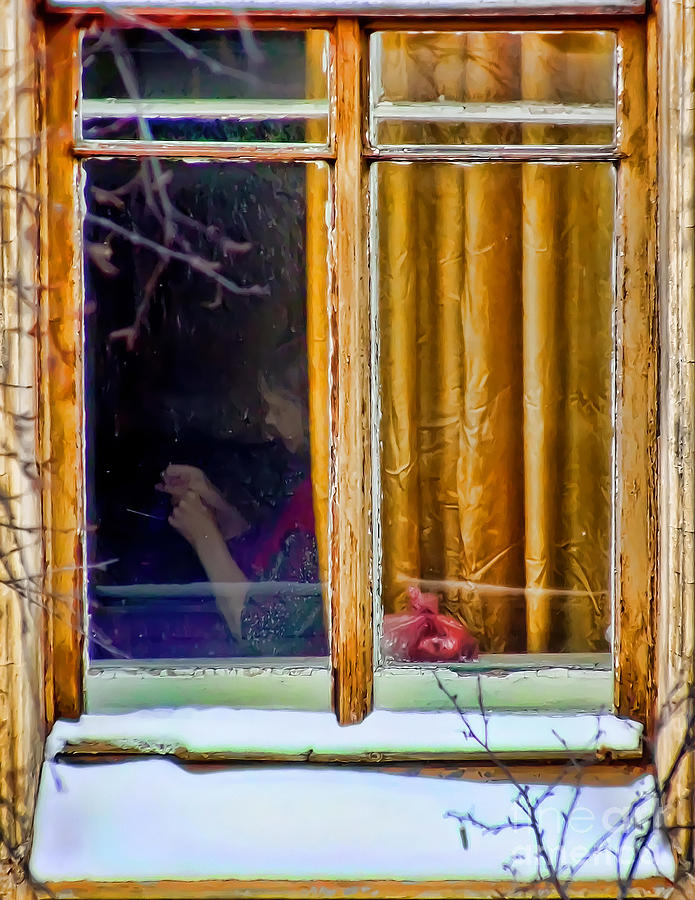 Window Photograph by Olga Hamilton