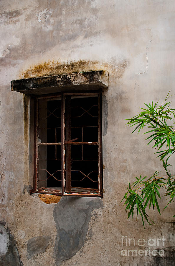 Window on Canvas Photograph by Venetta Archer