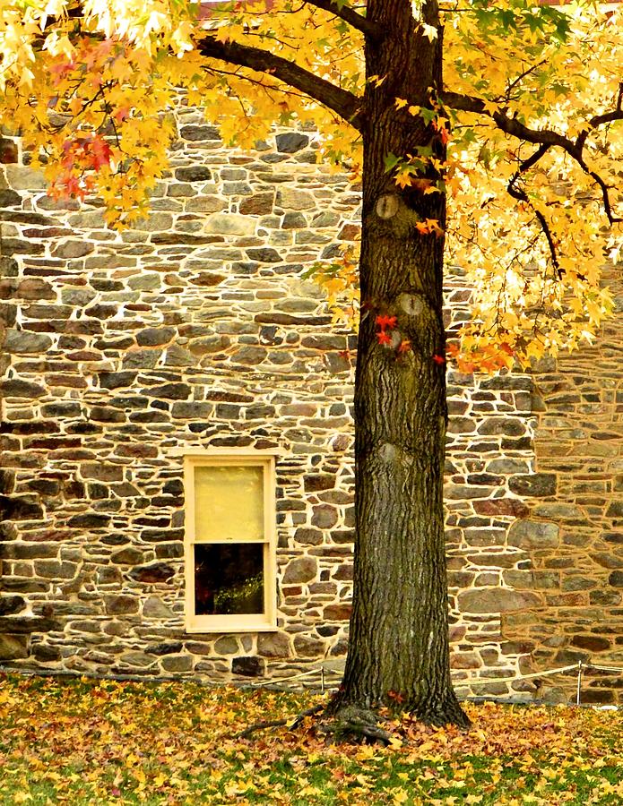 Window On Fall Photograph