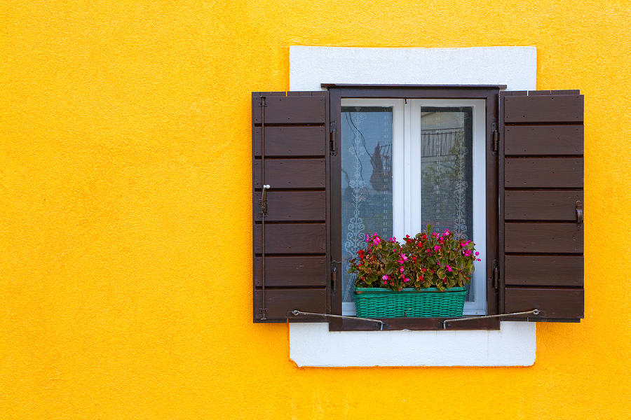 Flower Photograph - Window on Yellow by Alexey Stiop