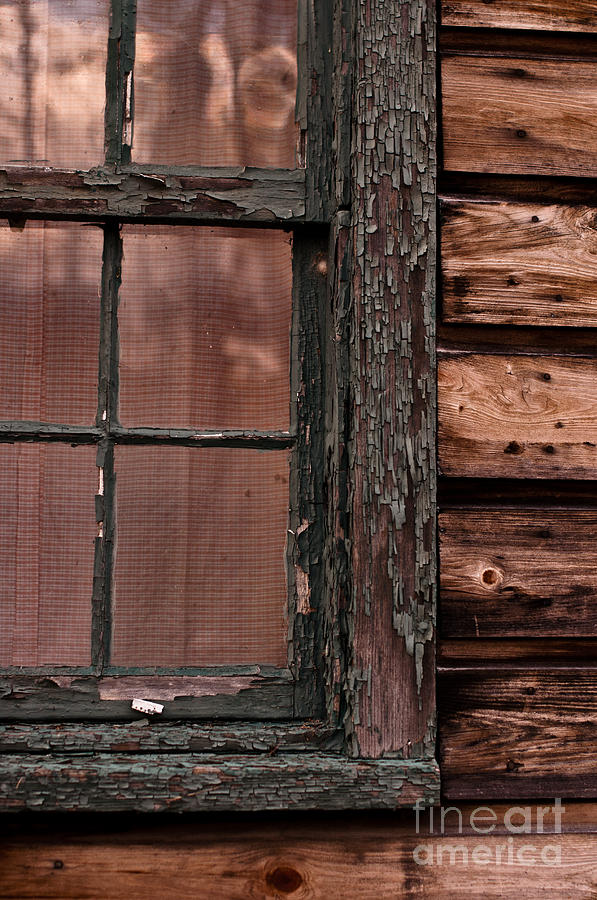 Window panes  Photograph by Pamela Taylor