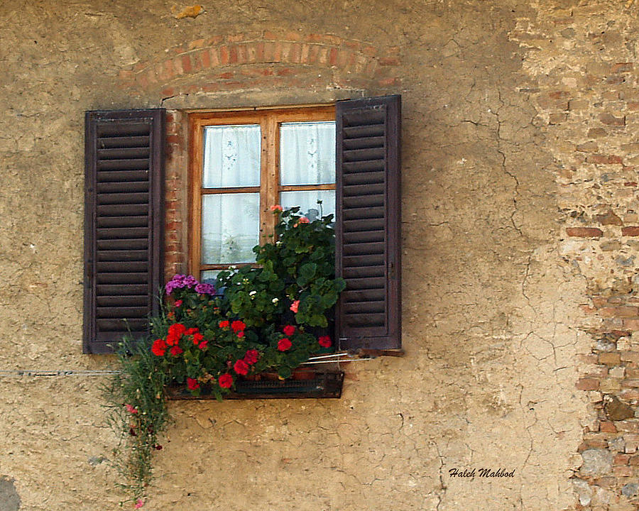 Window Photograph - Window series 1 by Haleh Mahbod