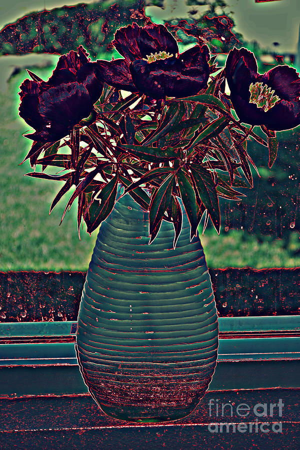 Vase Photograph - Window Sil by Diane montana Jansson