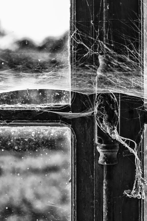Black And White Photograph - Window Spiders Web by Georgia Clare
