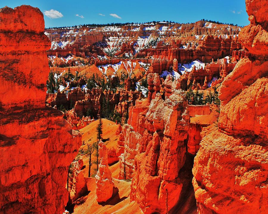 Bryce Canyon National Park Photograph - Window to Bryce by Benjamin Yeager