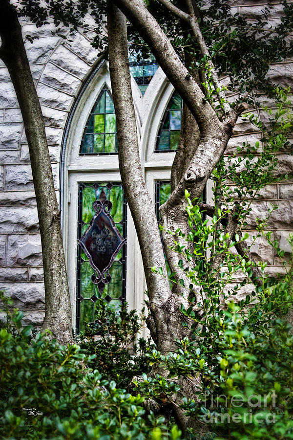 Window To Heaven Photograph by Ms Judi