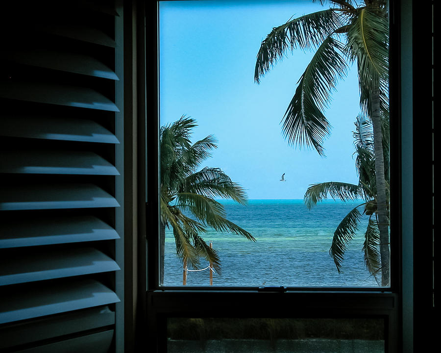 Window To Smathers Beach Photograph by Frank Mari